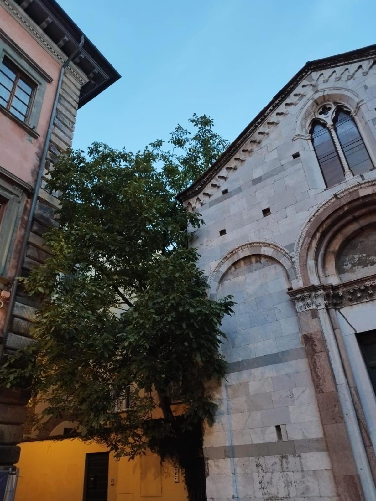 The Tuscanian Hotel Lucca Exterior photo